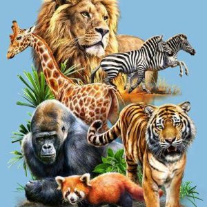Zoo